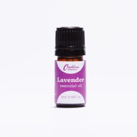 Lavender Essential Oil 5ml